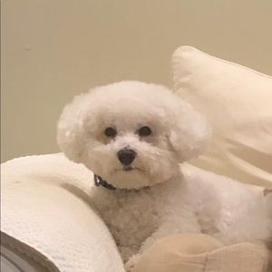 Meet your Posher, Nicola